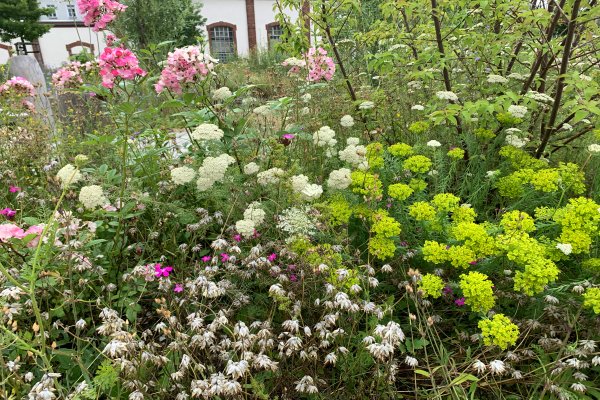 Naturnahe Garten- und Landschaftsgestaltung